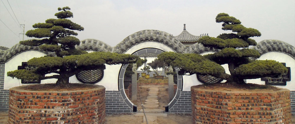 潤(rùn)松園大阪松